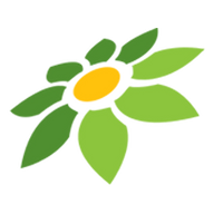 AM APK MOD